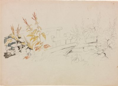 Naturstudie von John Wilson Carmichael